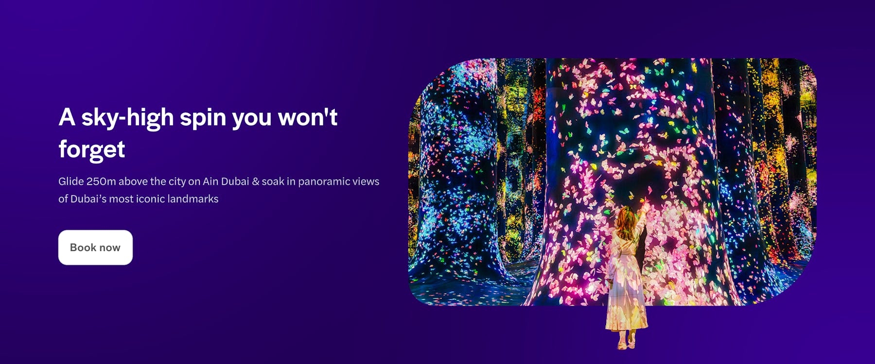 Interactive digital art installation with colorful lights at Team Lab Abu Dhabi.